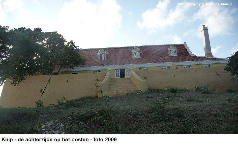 35. Knip achterzijde op het oosten 2009